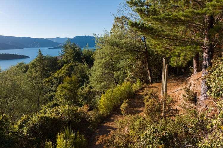 238B Port Underwood Road Waikawa_20