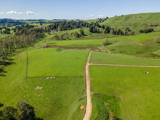 246 Allen And Eyre Road Onewhero_2