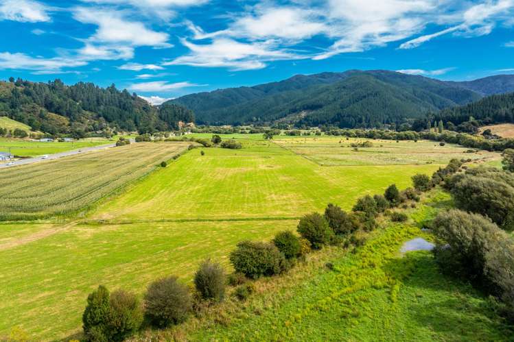 State Highway 1 Koromiko_20