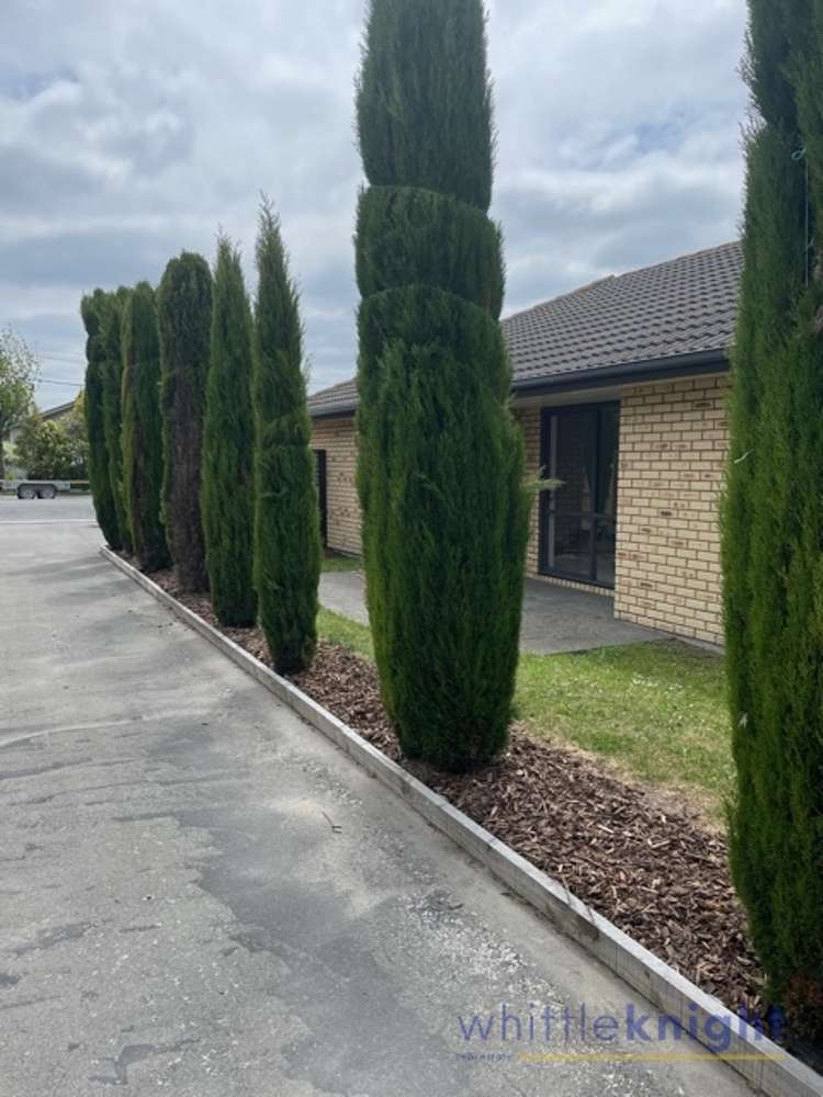 24 Wychbury Street Spreydon_8