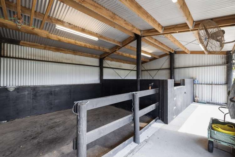 3 Sarona Park Drive Omanawa_24
