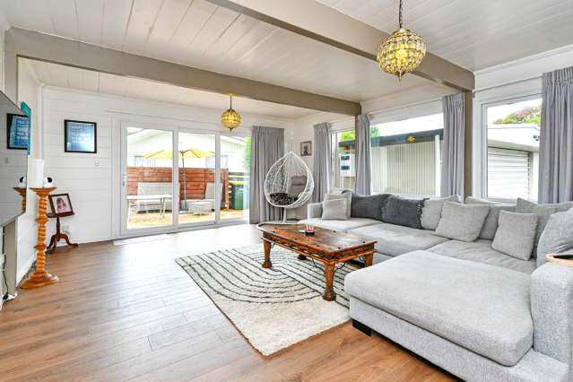 113 Elliot Street Pahurehure_2