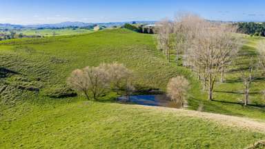 12 Homewood Road_4