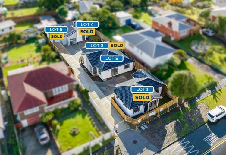 29b Fruitvale Road New Lynn_15