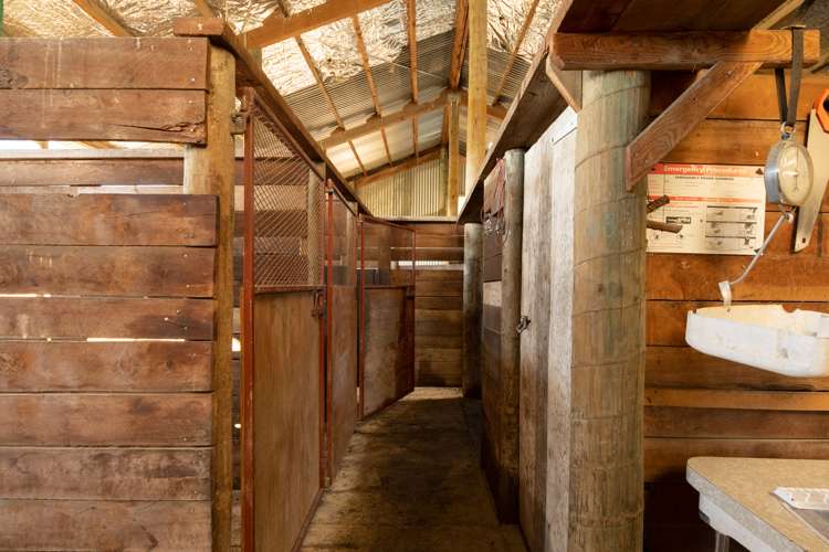 2602 Awatere Valley Road Awatere Valley_8