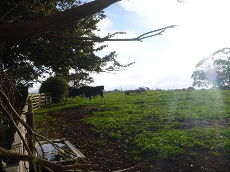 632 Eltham Road Mangatoki_16