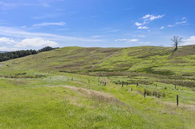 201 St Marys Road Waipu_9