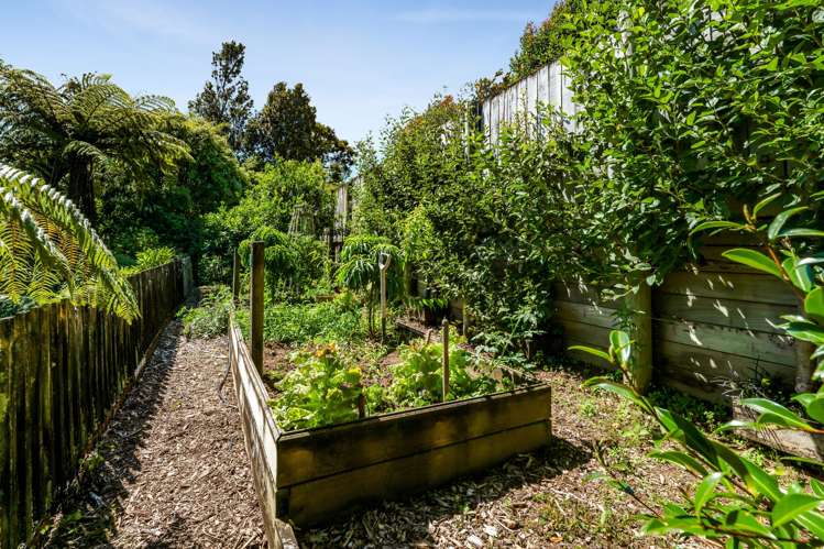 11 Lynton Street Upper Vogeltown_21