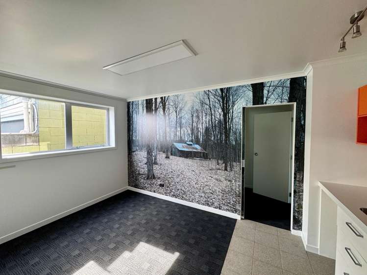 237 Saint Aubyn Street New Plymouth_4