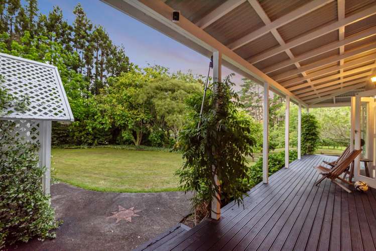 435 Pine Valley Road Dairy Flat_32