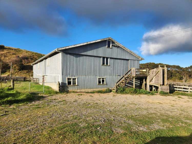 319 Ohautira Road Raglan_7