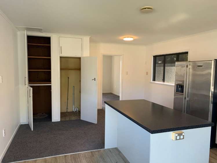 57a Standish Street Inglewood_16
