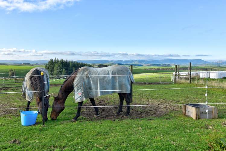 791 Wyndham Letterbox Road Wyndham Surrounds_30