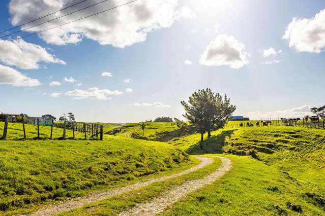 85 Reynolds Road Marton_4