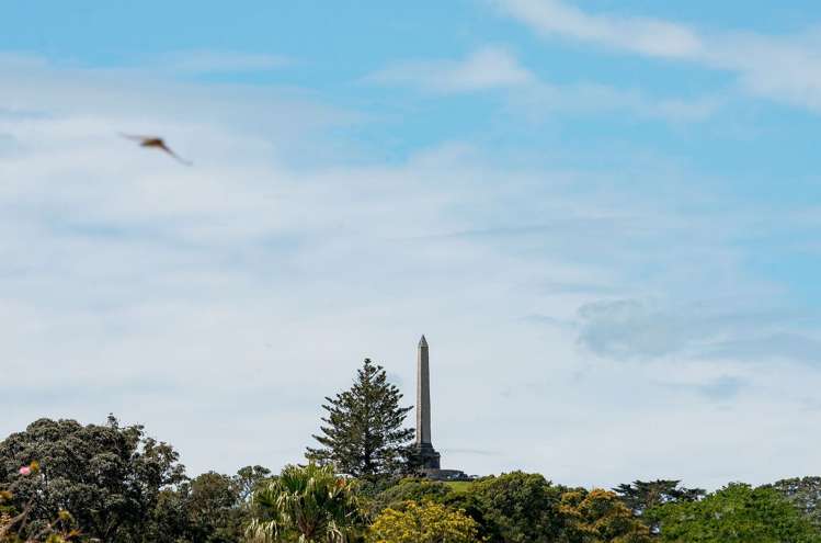 12 Turama Road Royal Oak_19