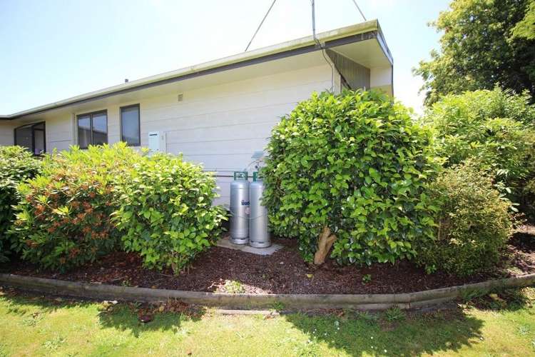 15 Wilson Street Bulls_10