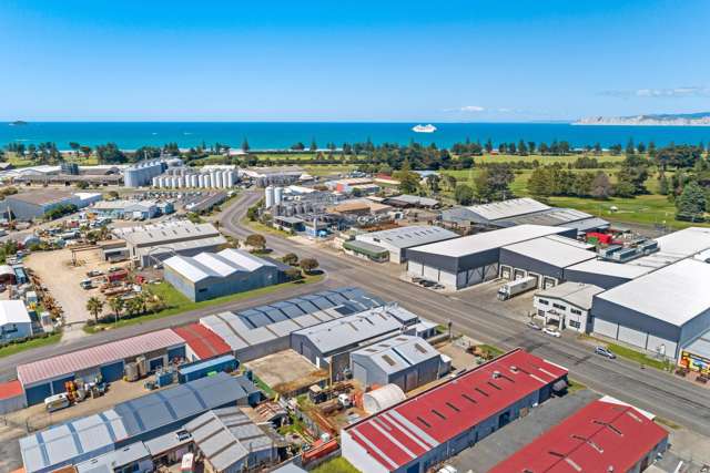 30 Parkinson Street Awapuni_3