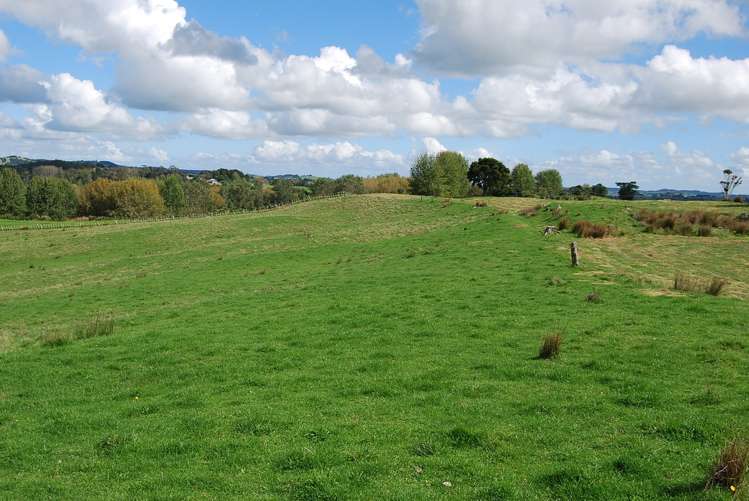 Kaiwaka-Mangawhai Road Kaiwaka_14