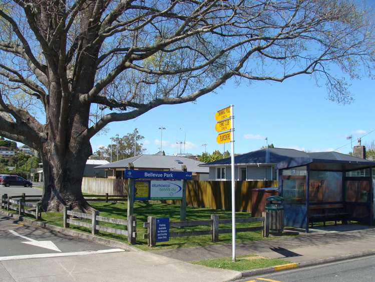 78b Windsor Road Bellevue_3