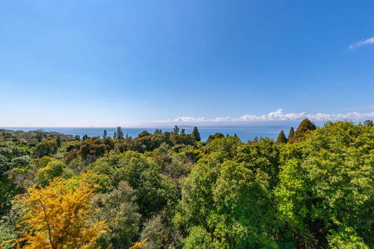 16 Kamahi Terrace Omori_6