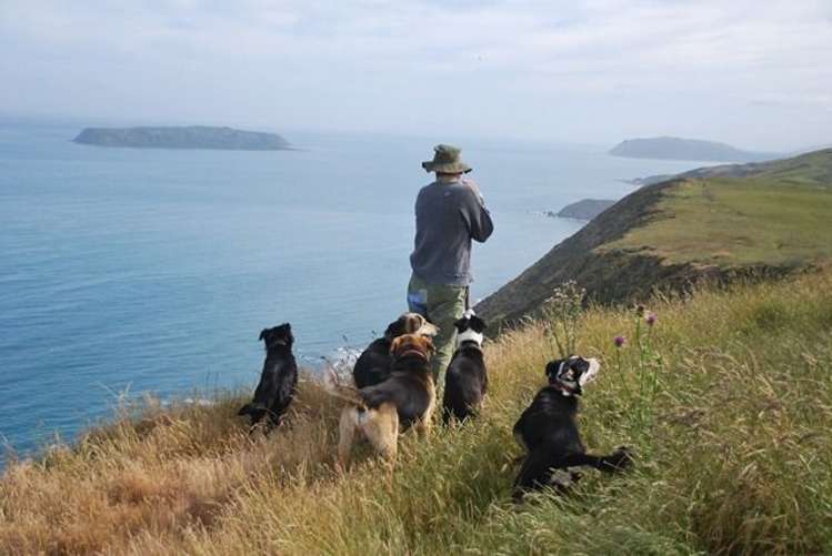 321 Boom Rock Road Ohariu_13