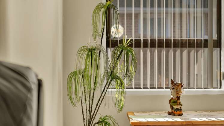 17 Bradshaw Terrace Riccarton_13