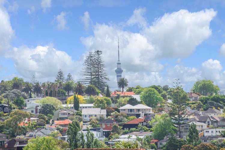 29 Tarawera Terrace Saint Heliers_2