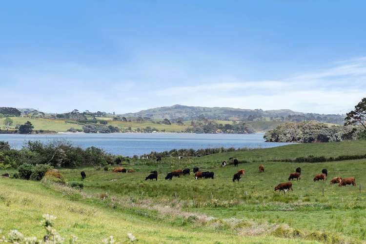 44a Wharf Road Clarks Beach_6