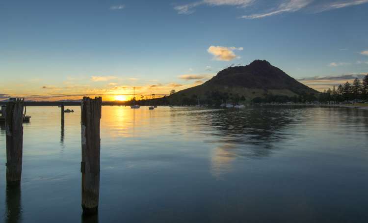 28a Miro Street Mount Maunganui_20