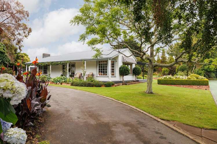 36 Forest Hill Road Aokautere_8