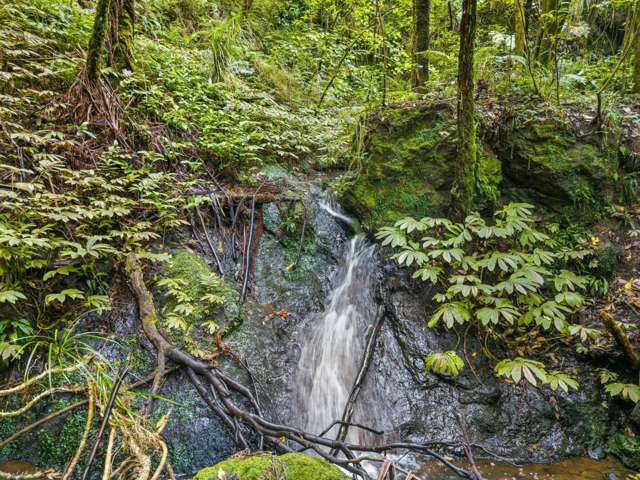 82 Kara Road Maungatapere_1