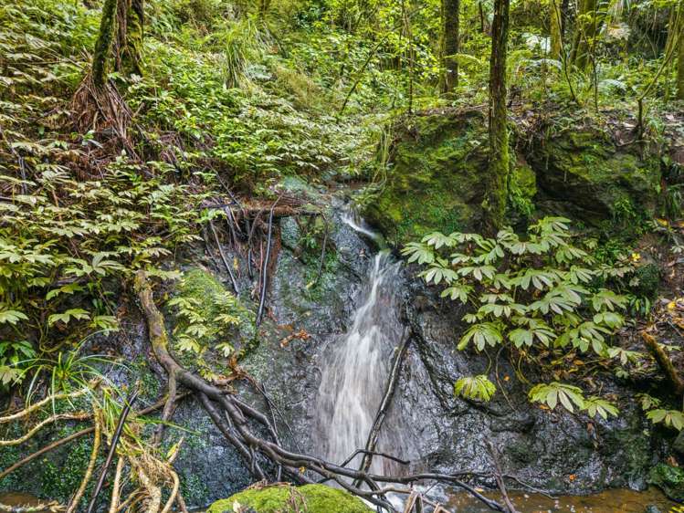 82 Kara Road Maungatapere_15