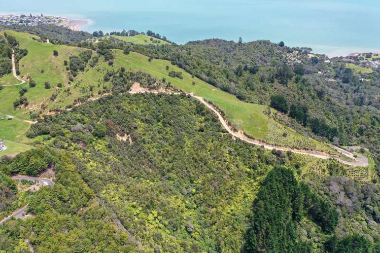60 Waiomu Valley Road Waiomu_3