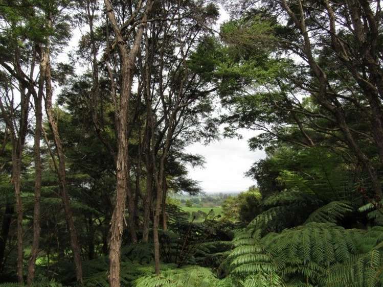 24 Goldfields Road Karangahake_12