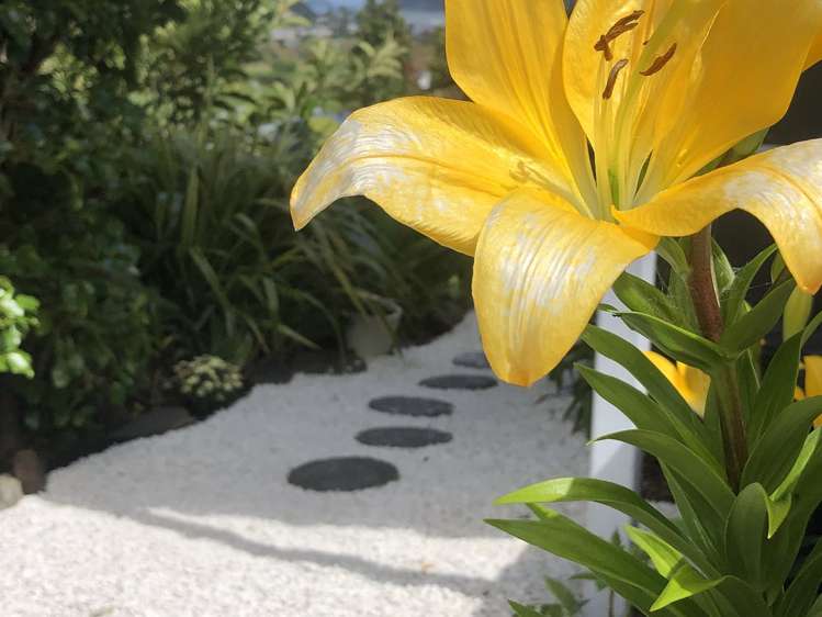 50a Ocean Beach Road Tairua_3