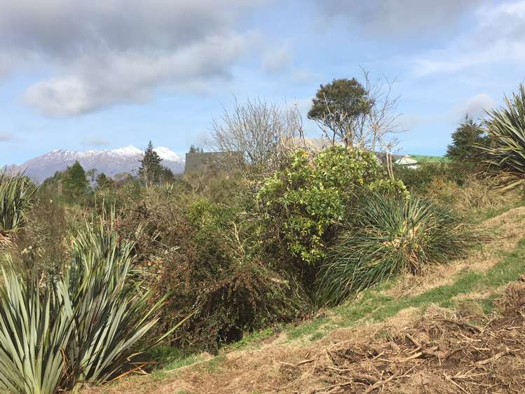 12 Turner Place National Park_6