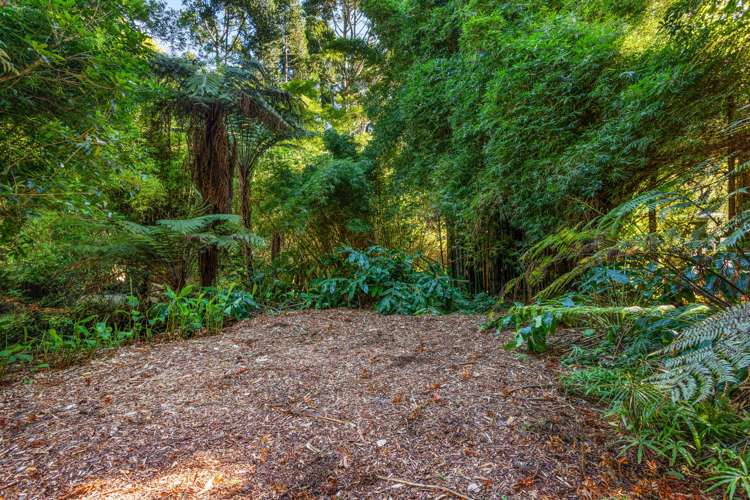 19 Tainui Road Titirangi_25