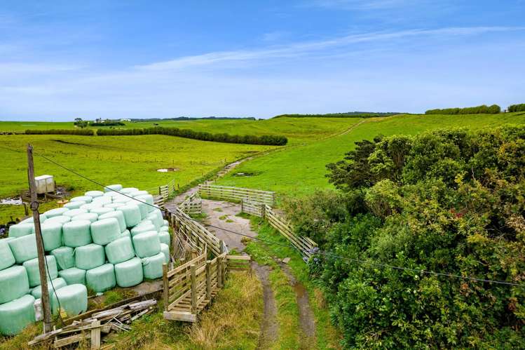 41a Ball Road Kakaramea_8