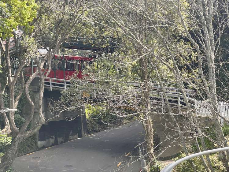 19 Everton Terrace Kelburn_18