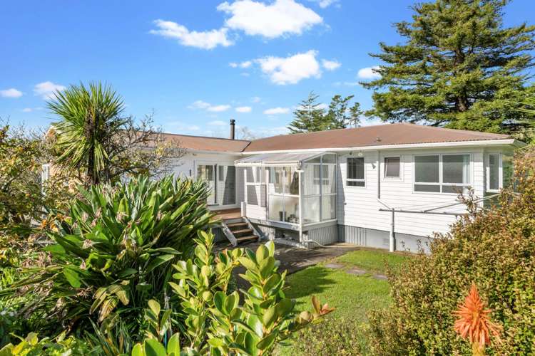 443 Pine Valley Road Dairy Flat_16