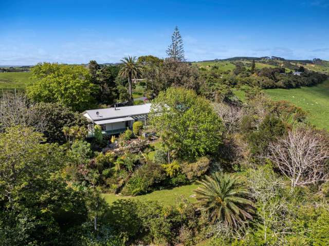 370 Fordyce Road Helensville_2