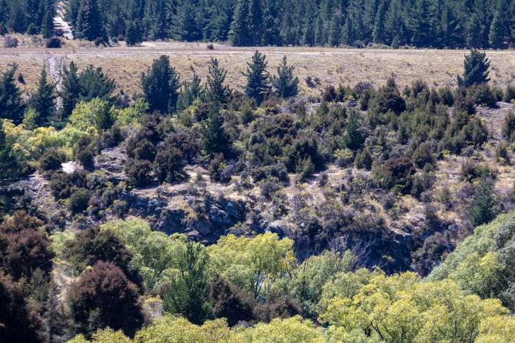 22 Jackson Rise Luggate_14