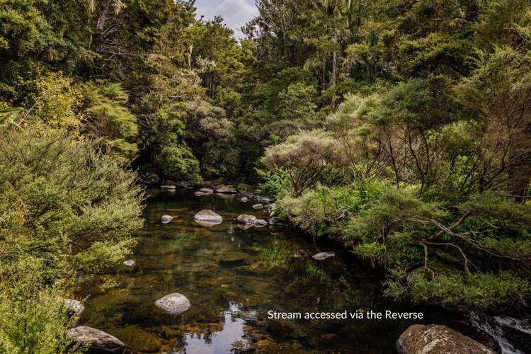 43Z Blue Gum Lane Kerikeri_22