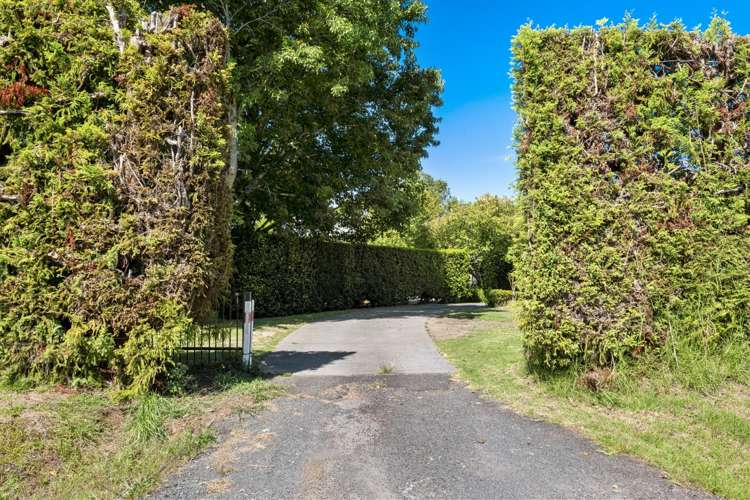 112 Pahoia Road Whakamarama_20