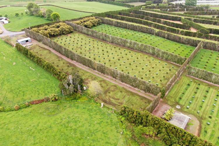 211 Pukekauri Road Waikino_17