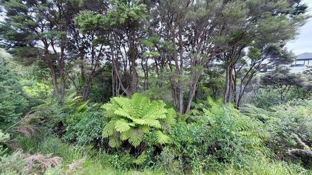 3 Carnell Lane Pinehill_1