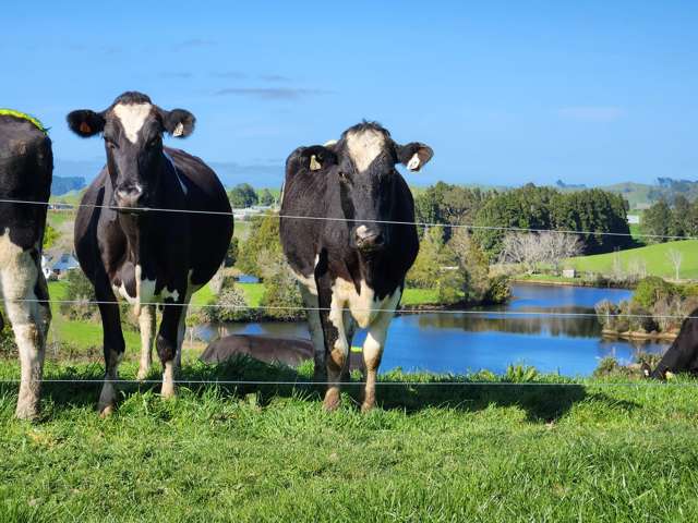 137 Ratapiko Road Ratapiko_2