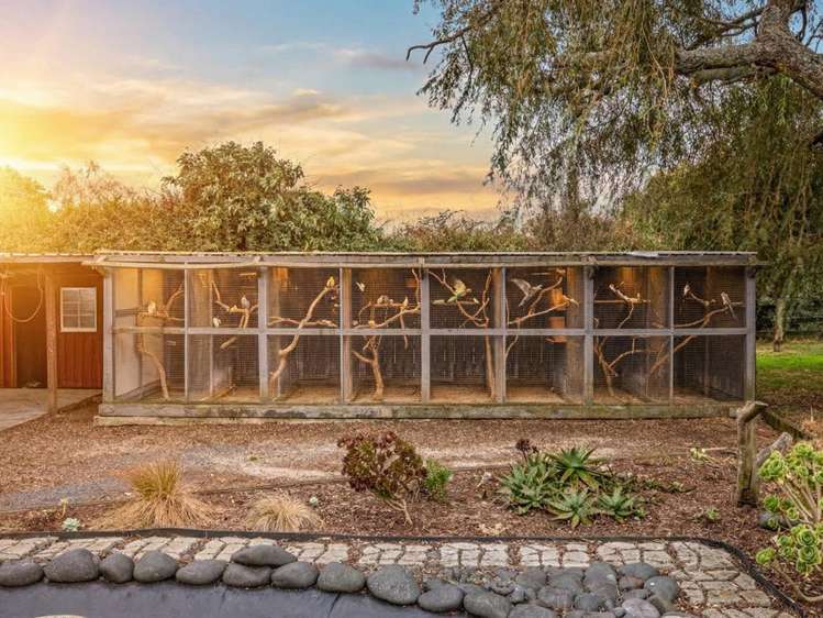 1/3116 Ohaupo Road Glenview_5