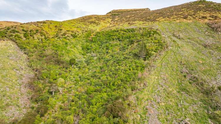 1301 Western Valley Road Port Levy_5