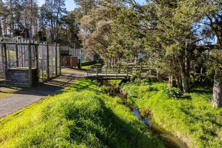 124 Gray Road Te Kamo_21
